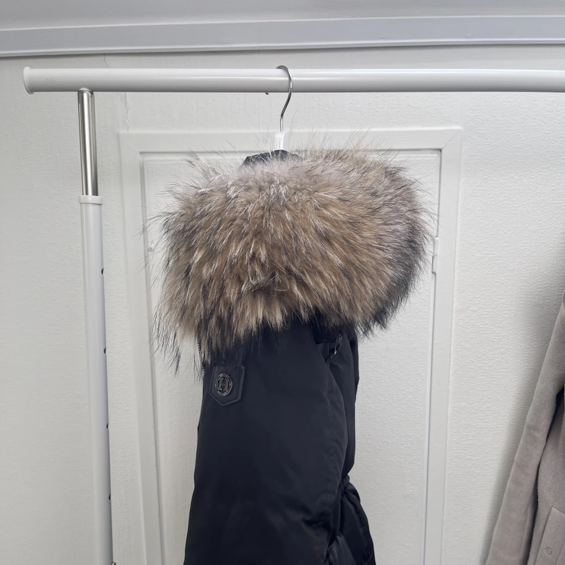 Hollies livingo - 93