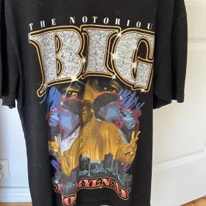 Biggie T-shirt - Svart t-shirt med biggie tryck köpt från pull&bear för ett tag sedan.
