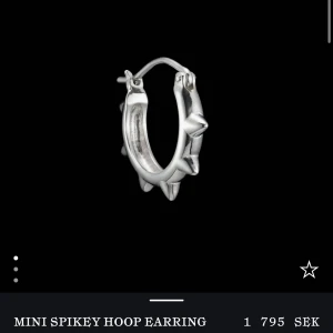 Maria Nilsdotter örhänge  - Så coolt Maria Nilsdotter örhänge! Säljer då de inte kommer till användning för jag fått nya örhängen tyvärr! De är endast använt en gång så de är verkligen i nyskick. Box och påse finns. Nypris 1795, mitt pris 1500💕 Skriv för egna bilder