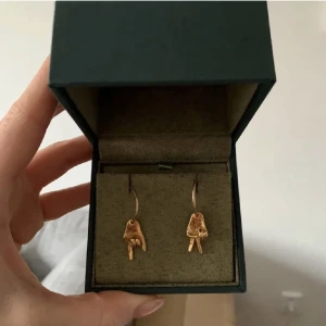 Maria Nilsdotter  - SÖKER !! Efter dessa örhängen i guld💛 silver kan funka men helst guld💛 så hör gärna av er 