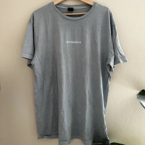 T-shirt Los Angeles - Skön oversize t-shirt i färgen baby blågrå