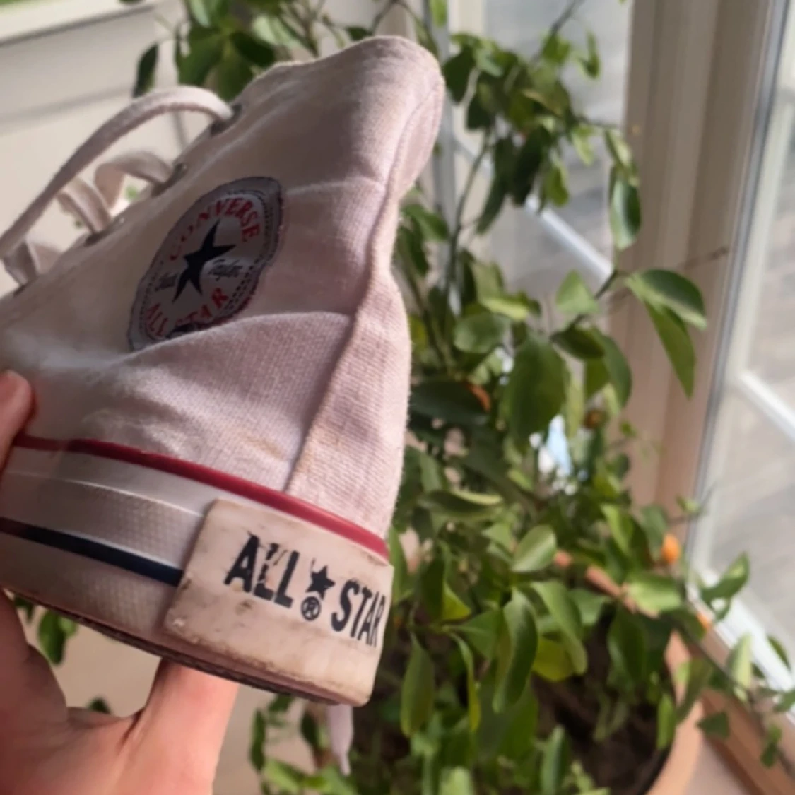 Vita Converse😽😍 - 91