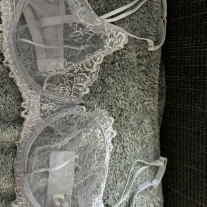 Bh med spets - Bh med mesig och spets från Lindex. Använd Max 1 gång. Inget trasigt eller fult, dock saknas rosetten som ska sitta där jag tagit närbild. Storlek 85C. 