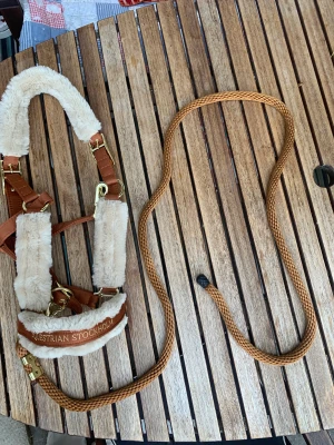 Equestrian Stockholm grimma - Helt oanvänd Equestrian Stockholm grimma färg Golden Bronze strl full! 300 kr+frakt (nypris 699.)