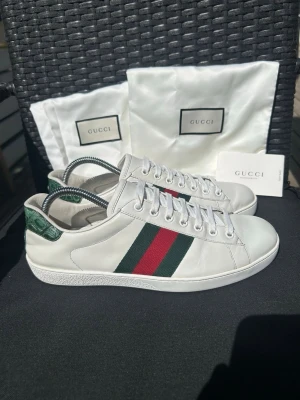 Gucci Ace Orginal Skor - Gucci Ace Orginal Snakers | Innersula= 27 cm |Skick: 9,5/10 | Nypris 7300 kr | Dustbag och kortet ingår inte | Skriv vid minsta fundering | Skickas 24 h inom köp |