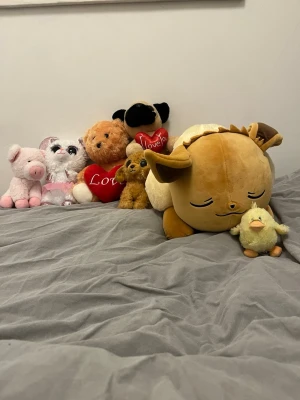 Gosedjur - !Eevee är såld! Mysiga och gulliga gosedjur. Du kan köpa alla för 350 eller 50kr styck men 100kr för den stora. Nytvättade och fräscha. Dom har olika märken så alla är inte ifrån teddy kompaniet