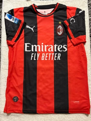 AC Milan matchtröja röd/svart Puma - Snygg AC Milan matchtröja från Puma i klassiska röda och svarta vertikala ränder. Tröjan har klubbmärke, Puma-logga och sponsortryck på bröstet samt detaljer på ärmarna. Tillverkad i lätt och ventilerande material, perfekt för fotboll eller träning. Köpt utomlands