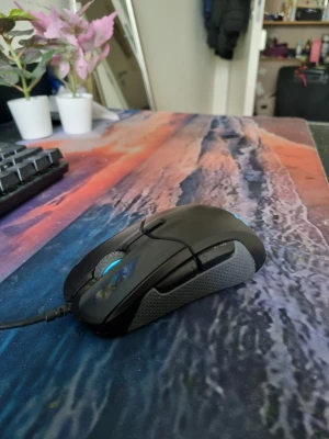 Steelseries gamingmus - Funkar perfekt, repor finns, men. Inget som påverkar funktionen. Modellen är en steelseries rival 310. Säljes för billigt då jag inte använt den på länge och inte behöver den