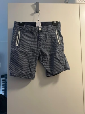 Randiga blåvita shorts med dragkedjor - Snygga shorts med blåvita ränder och vita dragkedjor på fickorna framtill. Klassisk passform med knapp och gylf, samt en bakficka med knapp. Perfekta för sommaren och tillverkade i ett lätt bomullstyg.