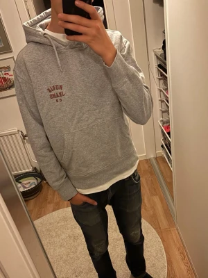 Grå hoodie från Nudie Jeans - Snygg grå hoodie från Nudie Jeans med tryck på bröstet. Tillverkad i 100% ekologisk bomull och har klassisk känguruficka samt dragsko i huvan. Perfekt för en avslappnad och stilren look. Hoodien är i storleken xs och är i riktigt fint skick. Skriv vid frågor eller funderingar!