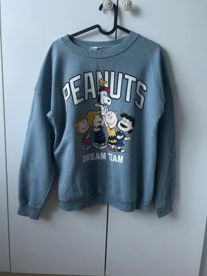 Blå Peanuts sweatshirt med tryck - Säljer en ljusblå sweatshirt med stort Peanuts-tryck och texten 'DREAM TEAM' på framsidan. Tröjan har rund hals, ribbade muddar och avslappnad passform. Perfekt för dig som gillar Snoopy och gänget! 