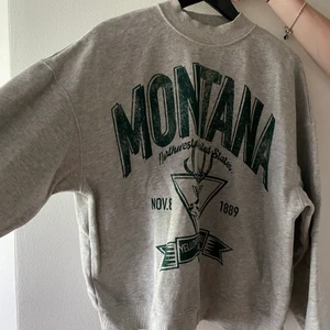 Sweatshirt  - En sweatshirt från berskha använd få gånger. Den är storlek M och sitter ganska bra och oversized på mig som är en M. Säljer för 140kr eller högst bud.