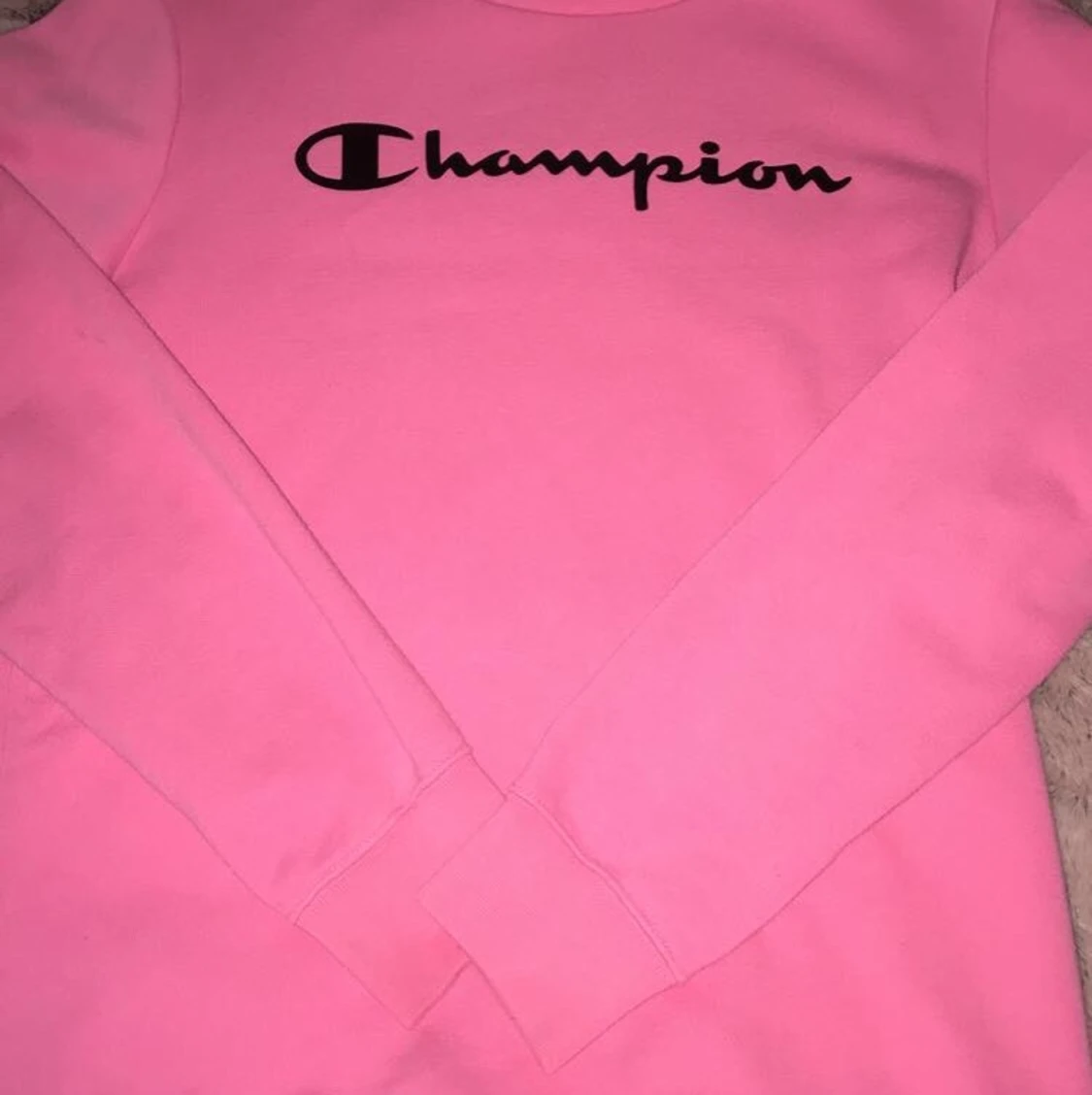 Champion sweatshirt 