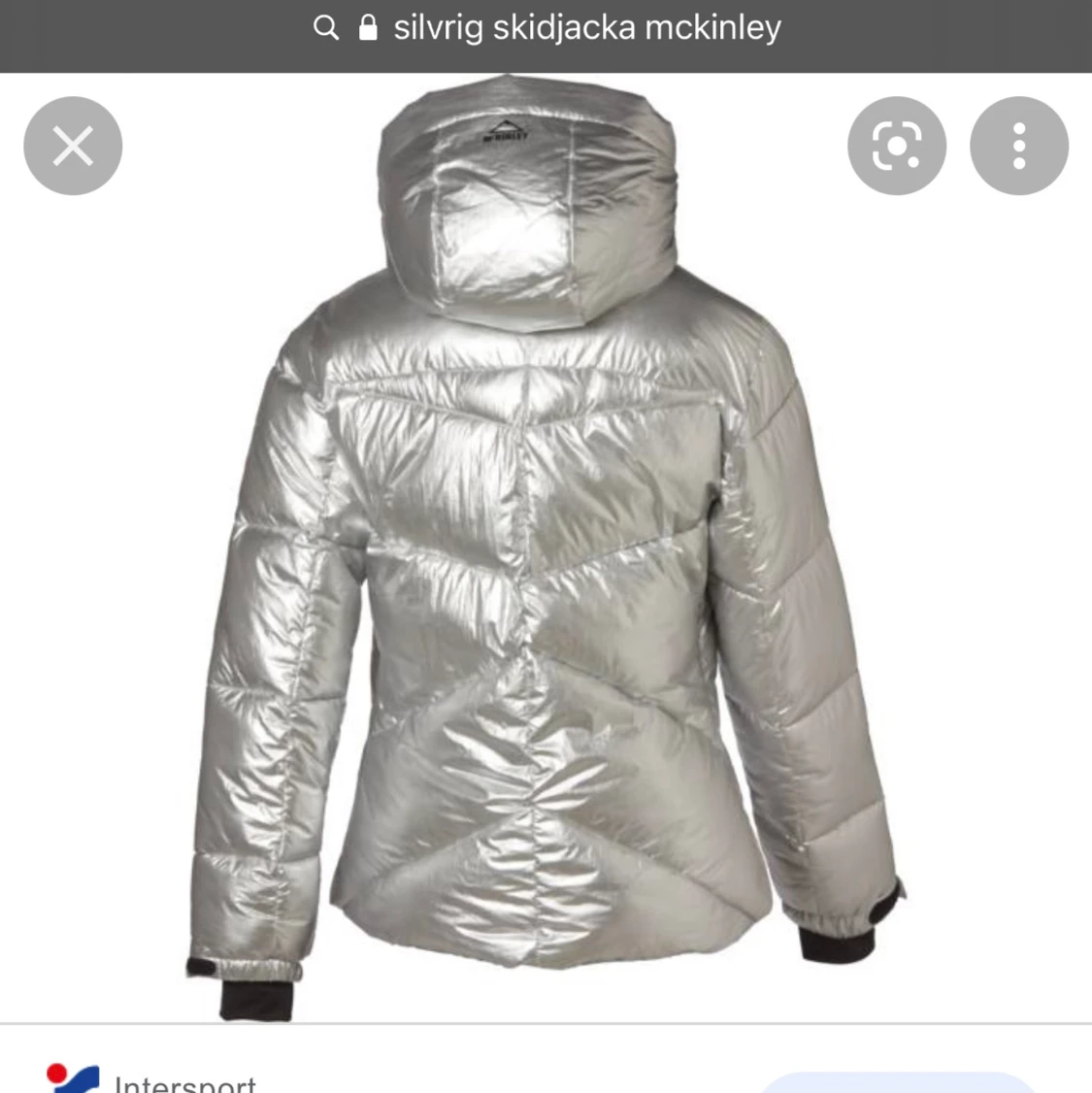Silvrig skidjacka  - 90