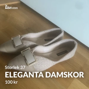 Eleganta damskor - Oanvända och jättefina damskor. Säljer pga att de var för små för mig, storlek 38 men känns mer som 37. Kan mötas upp i Nyköping eller fraktas, köparen står för frakten. 