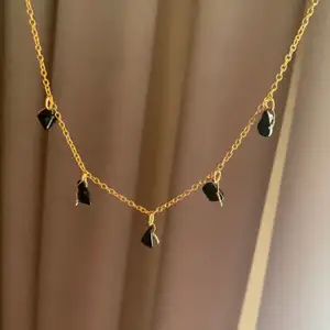Kort guldigt halsband med svarta stenar! 