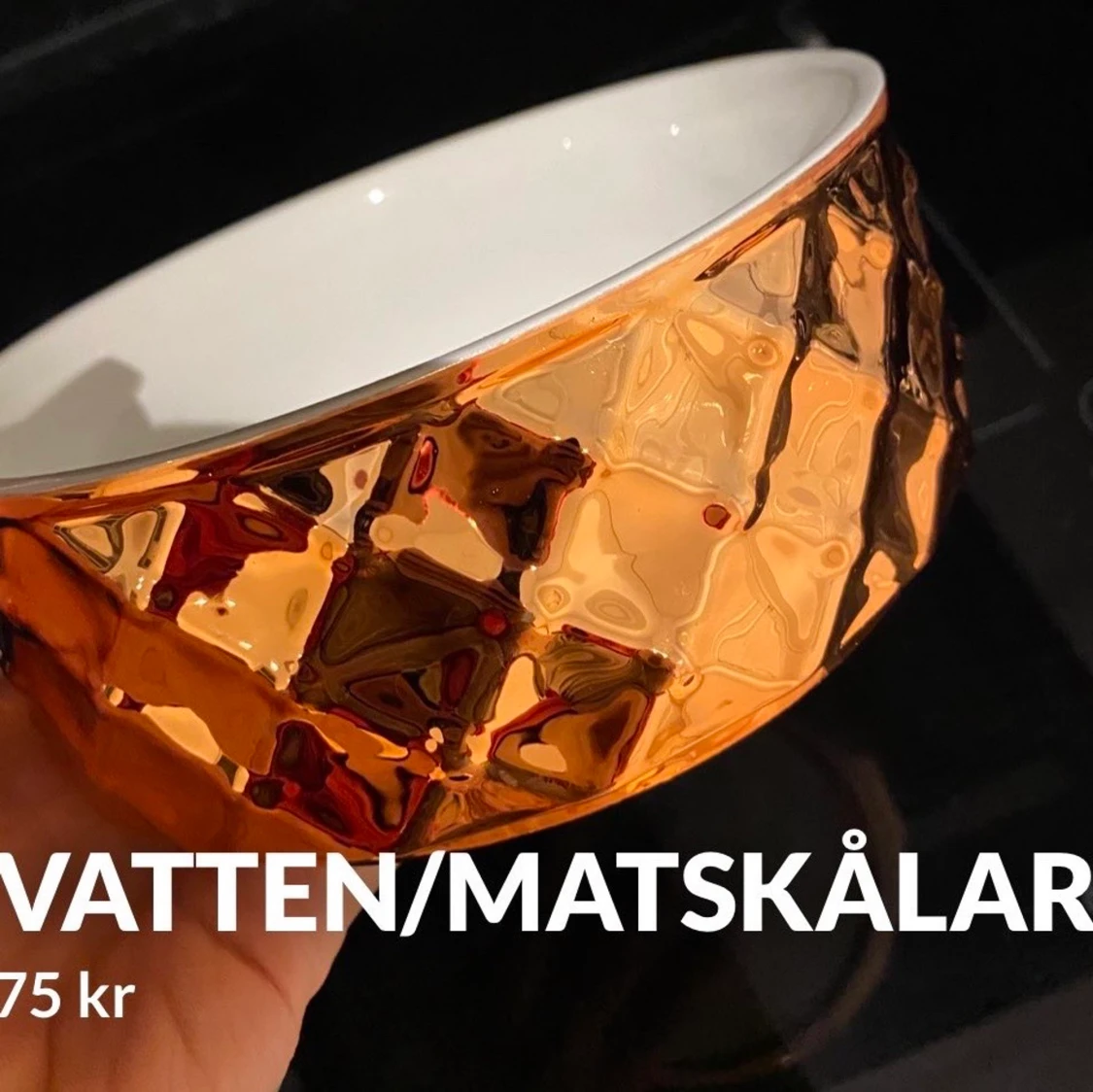 Oanvända hundskålar