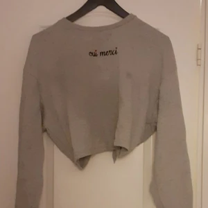 Tröja - Grå tröja me en liten text på bröstet, har även öppen rygg som man knyter längst ner, långarmad, köparen står för frakten