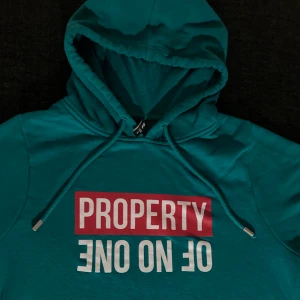 Grönhuvtröja strl L  - Grönhuvtröja storlek L knappt använd säljer det använder den inte och den är förstor pris: 100kr + 50 kronor frakt✨