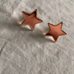 Örhängen i roséguld  - Söta helt oanvända örhängen i roséguld🌼 köparen står för frakten 