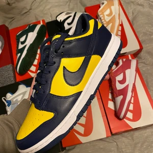 Dunk low michigan state - Dunk low michigan state, Size 42, helt nya, pris 1900 + frakt