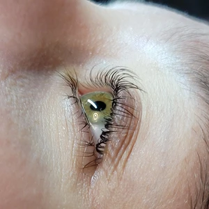 Lashlift - Gör lashlift är utbildad men fortfarande övar. 200kr inklusive färg så färg+lashlift 200kr❤ Fins i Stockholm Tyresö. Använder elleebana. Gick utbildningen hos @stylingjarvso                                    Min insta. Lash.lift_by_anaztacia