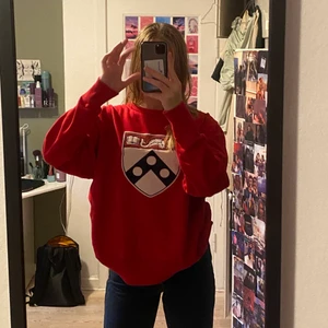 Retro Vintage sweatshirt  - RETRO VINTAGE SWEATSHIRT. Str M                     kom gerne med bud. Købt i vintage genbrug i fin stand og nærmest ikke brugt. Mærket er league collegiate outfitters. Sælger fordi jeg ikke for den brugt og den enlig bare hænger i mit skab.