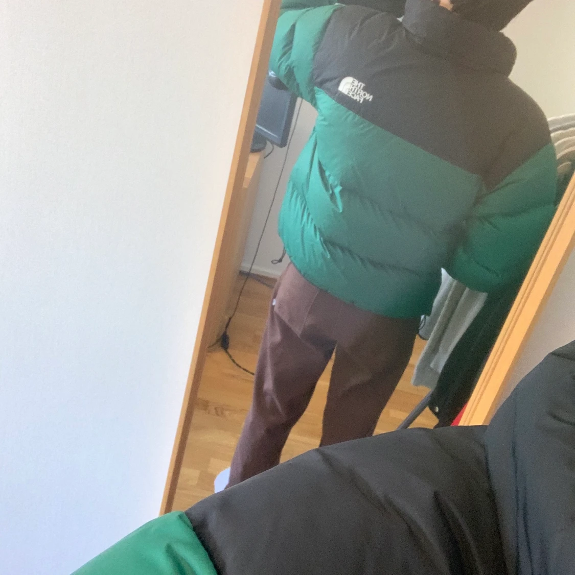 The North Face nuptse 700 grön  - 91