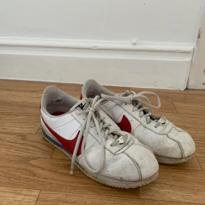 Nike skor - Köpte dessa i Las Vegas. De är ganska använd men har bara ett hål i insidan