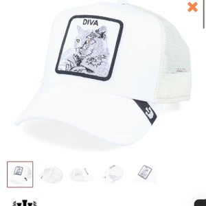 SÖKER DENNA KEPS!!! - Söker Diva stance white trucker - goorin bros!! Så bra skick som möjligt. 