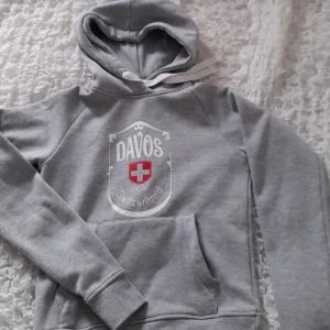 Grå Hoodie - Säljer denna gråa hoodien pga att den ör förliten. Har använt den 1 till 2 gånger bara. 