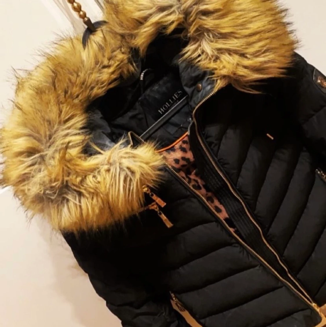 Hollies Jacka