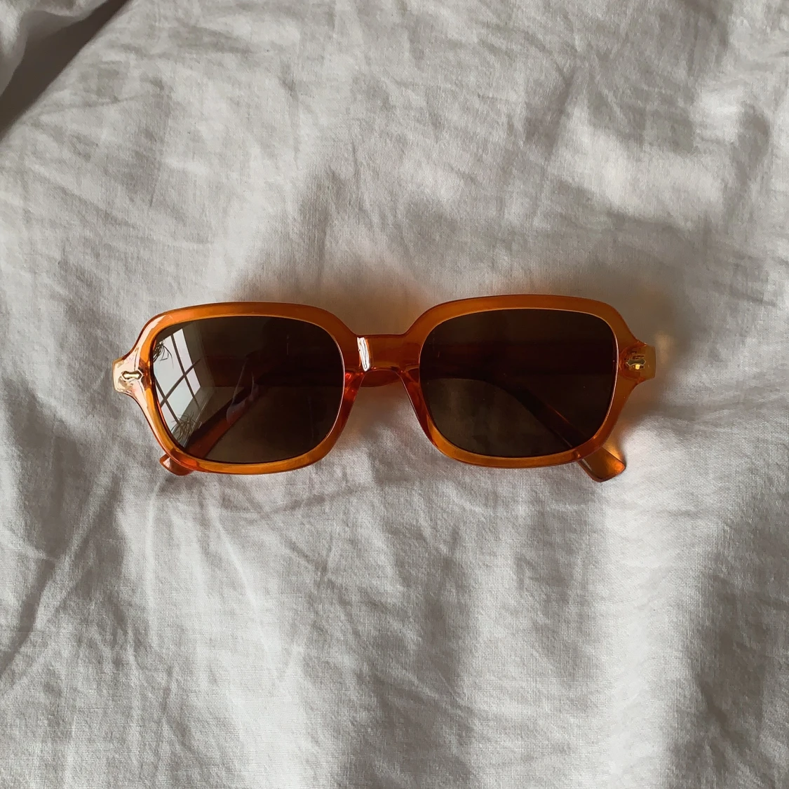 Solglasögon (lexxola)