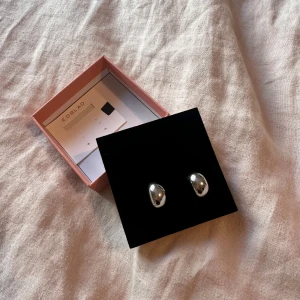 Edblad örhängen - Helt nya Edblad örhängen som jag köpte men som aldrig kom till användning💕 har fortfarande box och påse kvar! Örhängena är som sagt helt oanvända😊