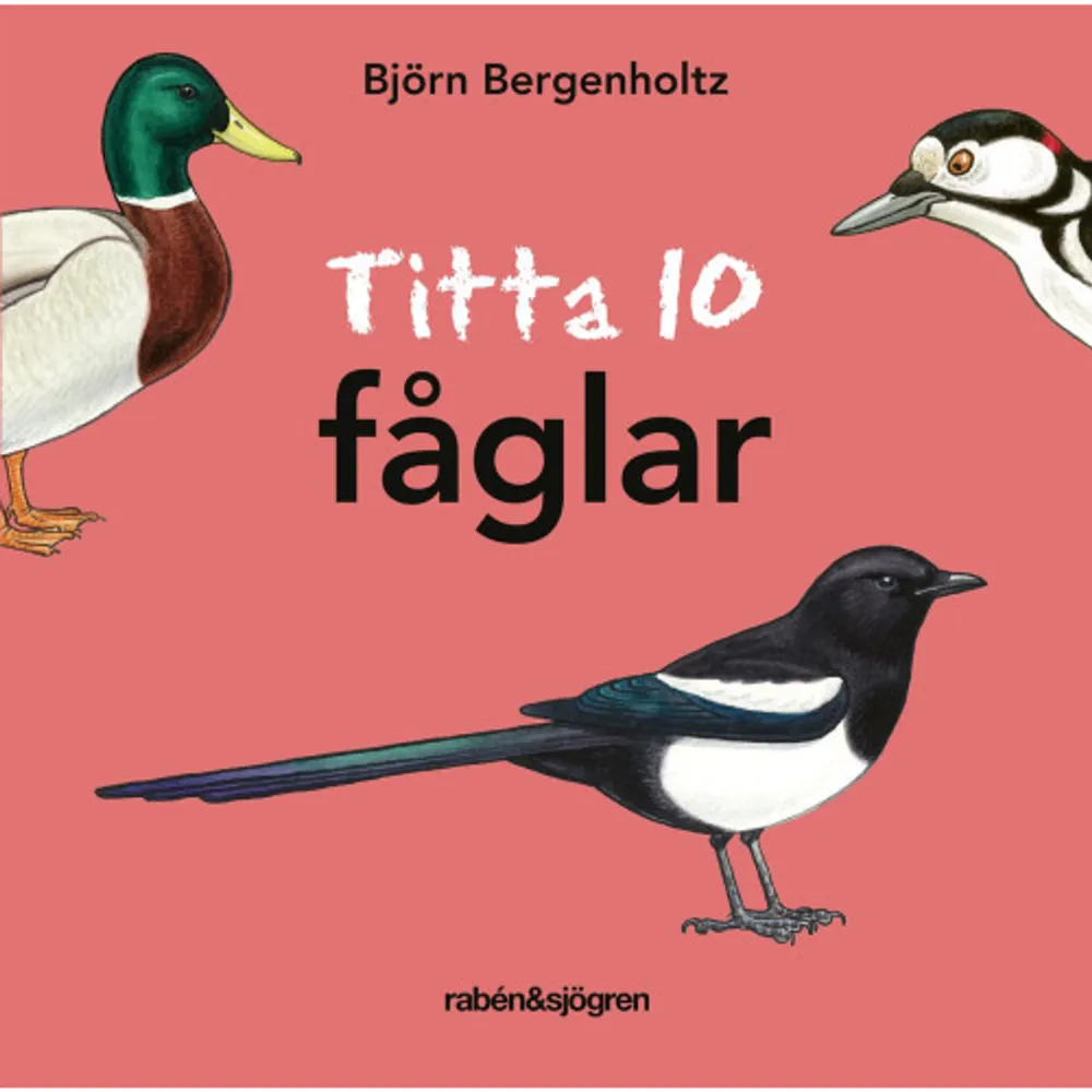 Titta svan, kråka, skata, sädesärla, hackspett, uggla, koltrast, gräsand, duva och blåmes.Titta 10 är de första naturböckerna för Känn igen 25-läsarnas småsyskon. En första, ännu enklare, introduktion till djuren och växterna omkring oss. Naturböcker på riktigt, men på riktigt små läsares nivå. Böcker som tidigt väcker lusten till naturen!    Format Board book   Omfång 22 sidor   Språk Svenska   Förlag Rabén & Sjögren   Utgivningsdatum 2021-03-12   Medverkande Jeannette Wigren   Medverkande Björn Bergenholtz   ISBN 9789129729436  . Böcker.