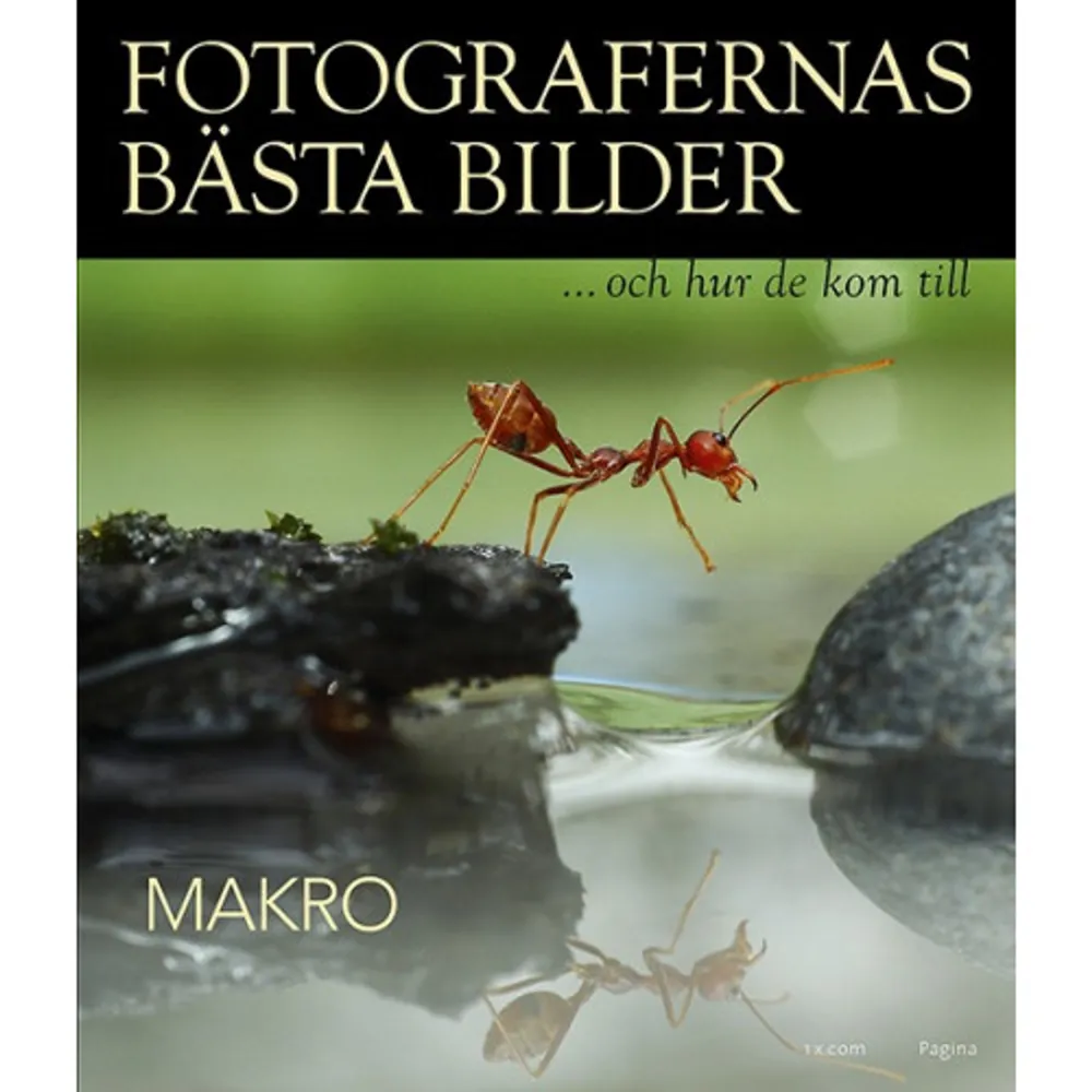 De ultimata inspirationsböckerna för fotografer 