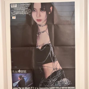 Aespa The 1st Album Armageddon karina poster  - All inclusions in photo