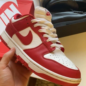Nike dunks, gym red. (Ej original skosnören) - Ett par röda dunks i bra skick, kan köpas tillsammans med de ljusblå till ett schysst paketpris ;)