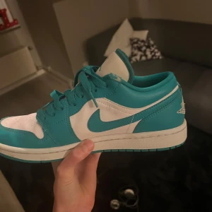 Nike Air Jordans i turkos och vit - Säljer ett par Nike Air Jordans i en fräsch turkos och vit färgkombination. Skorna har klassisk snörning och den ikoniska Air Jordan-loggan på hälen. Perfekta för dig som vill ha en stilren och sportig look.