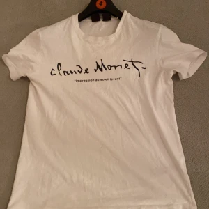 Vit t-shirt med Claude Monet-tryck från Bershka - Snygg vit t-shirt från Bershka med tryck av Claude Monet på framsidan och ett konstverk på baksidan. Perfekt för konstälskare som vill ha en stilren look. Gjord i mjukt material för en bekväm passform. Passar small och xs