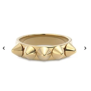 Guldfärgad ring med nitar - Säljer Edblad ring i guldfärg! ordinarie pris är 349!🩷