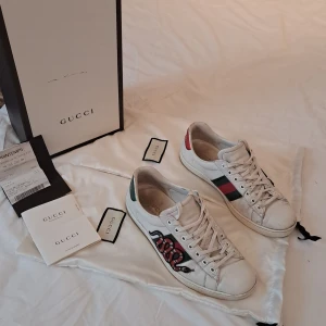 Gucci ace snake - Allt og samt kvitto medföljer, skick 8/10. Pris är ej hugget I sten, skriv vid frågor!