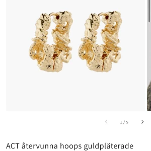 Guldörhängen pilgrim - Oanvända och inte öppnade orginalpriset 399. 