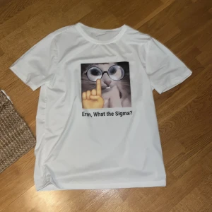 Vit t-shirt med kattmotiv - Vit t-shirt med ett roligt kattmotiv och texten 'Erm, What the Sigma?'. Perfekt för dig som gillar humoristiska tryck. T-shirten har en normal passform och korta ärmar.