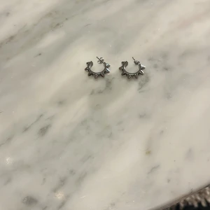 Silvriga örhängen med nitar - Snygga silvriga örhängen med coola nitar som ger en edgy look. Perfekta för att ge din outfit lite extra attityd. Lätta att bära och passar till många olika stilar.