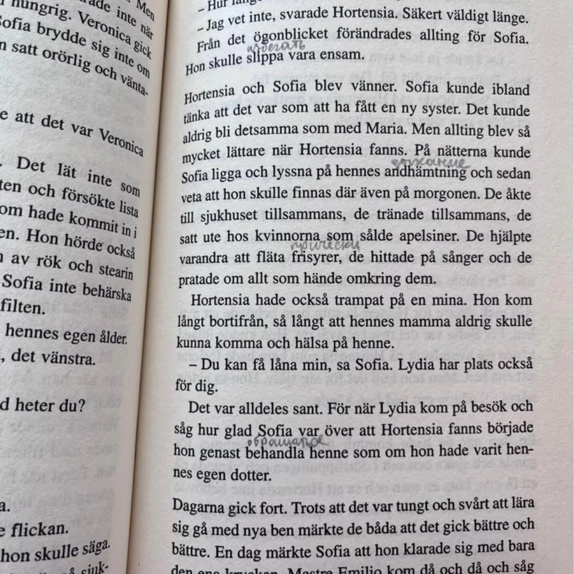 Eldens hemlighet/ Henning Mankell - 91