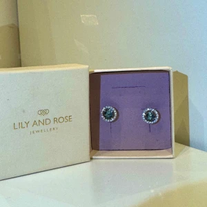 Lilly and Rosé miss Sofia örhängen - färg light sapphire - Sublim i sin enkelhet, denna gnistrande stiftörhänge är perfekt för både dags- och kvällslooken. En färgklick, dessa azurblå kristaller är ett härligt tillskott till din samling.  Använd som mest ett fåtal gånger! Ask ingår. 