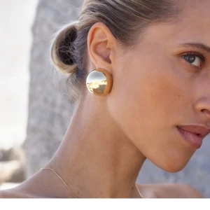 Örhängen från Edblad  - Stora och vackra örhängen från Edblad. 🤎  Använd vid 1 tillfälle. 