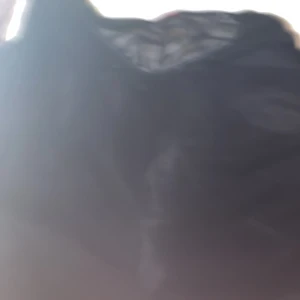 Svart transparent topp från Womanize - Säljer en snygg svart transparent topp från Womanize. Perfekt för en utekväll eller fest! Toppen är gjord i ett lätt och luftigt material som ger en elegant look.