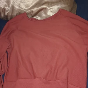 Rostfärgad tränings tröja - Säljer en snygg rostfärgad tröja med rund halsringning. Tröjan har långa ärmar och en enkel design som passar perfekt till vardags. Perfekt för höst och vinter!